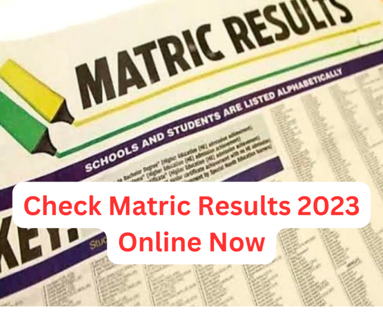 How to Check Matric Results ? ONLINE WEB STUDIO